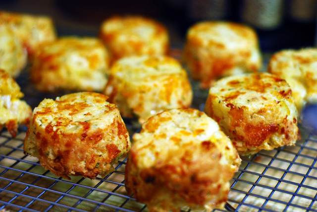 Apple, Cheddar Biscuits with Rosemary